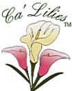 Ca'Lilies